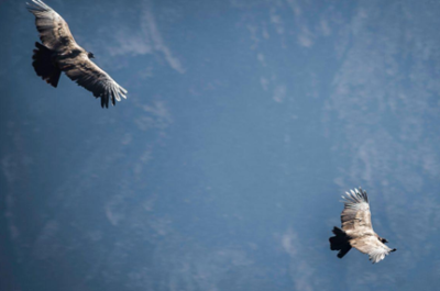PERU - Szamańska podróż duszy i ciała