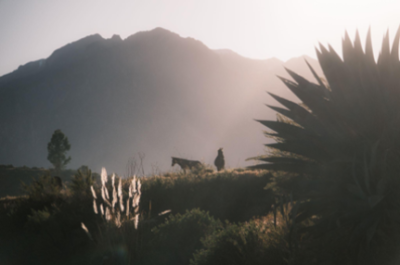 PERU - Szamańska podróż duszy i ciała